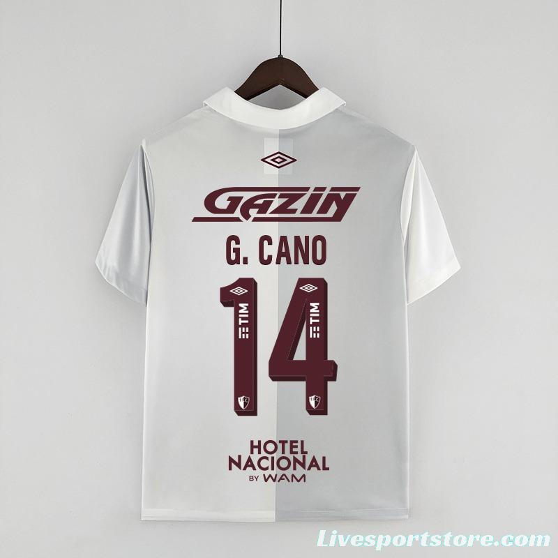 22/23 Fluminense All Sponsors 120th Anniversary White Grey jersey